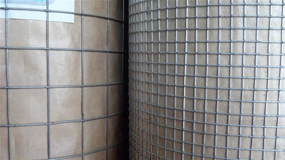 1/2 Inch Hole Size Electric Galvanized Pvc Coated Wire Mesh
