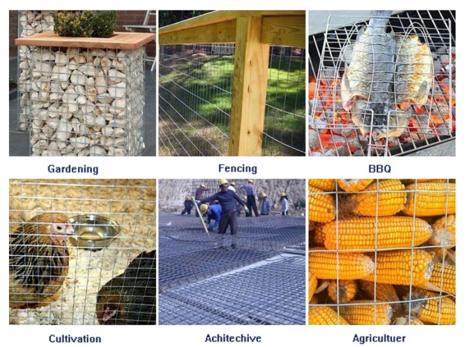0.9mm 1/2 Duim 1m Breed Roestvrij staal Gelast Draadnetwerk 1